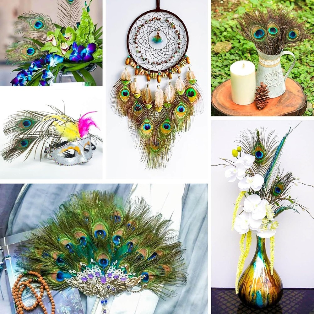 200 pcs Natural Peacock Feathers for Crafts and Decor