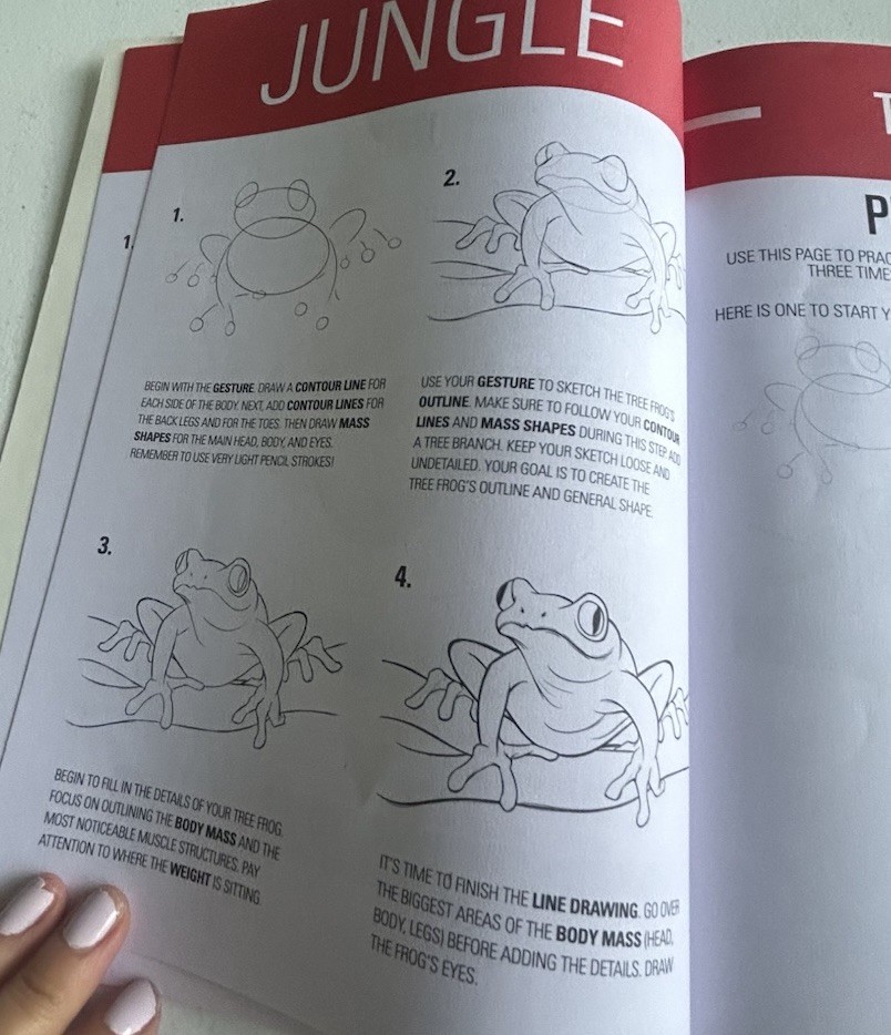I Draw Jungle Animals Coloring Book