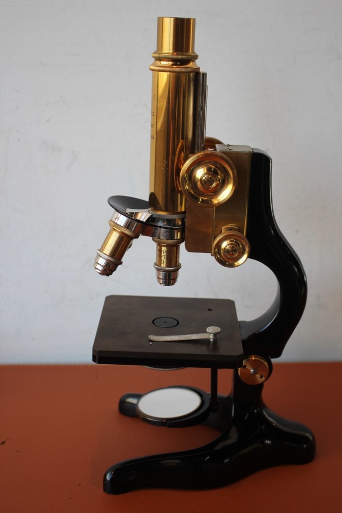 1913 Antique Brass Ernst Leitz Wetzlar Microscope