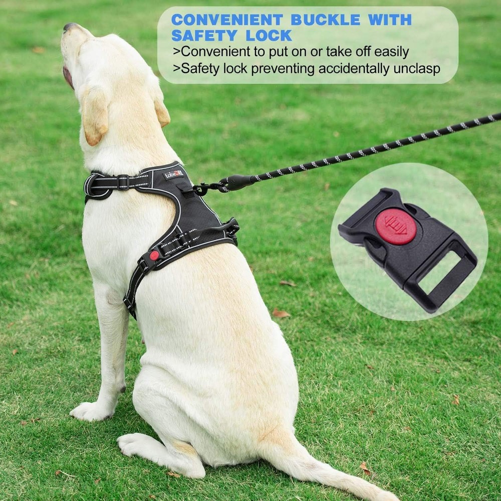 Large Dog Harness Leash Adjustable Comfortable Easy Control Durable Machinewash