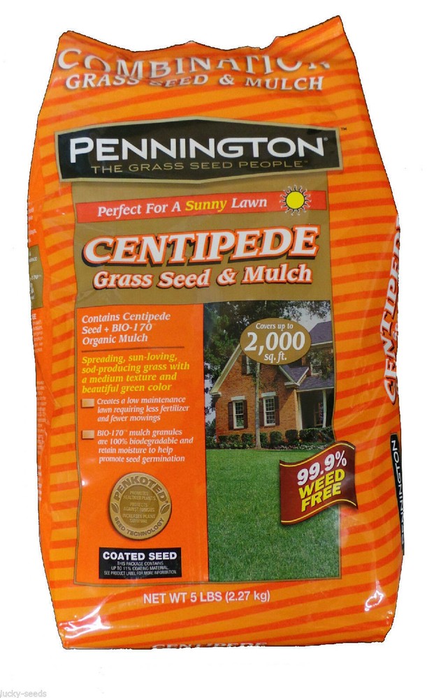 Pennington Centipede Grass Seed and Mulch - 5 lbs.
