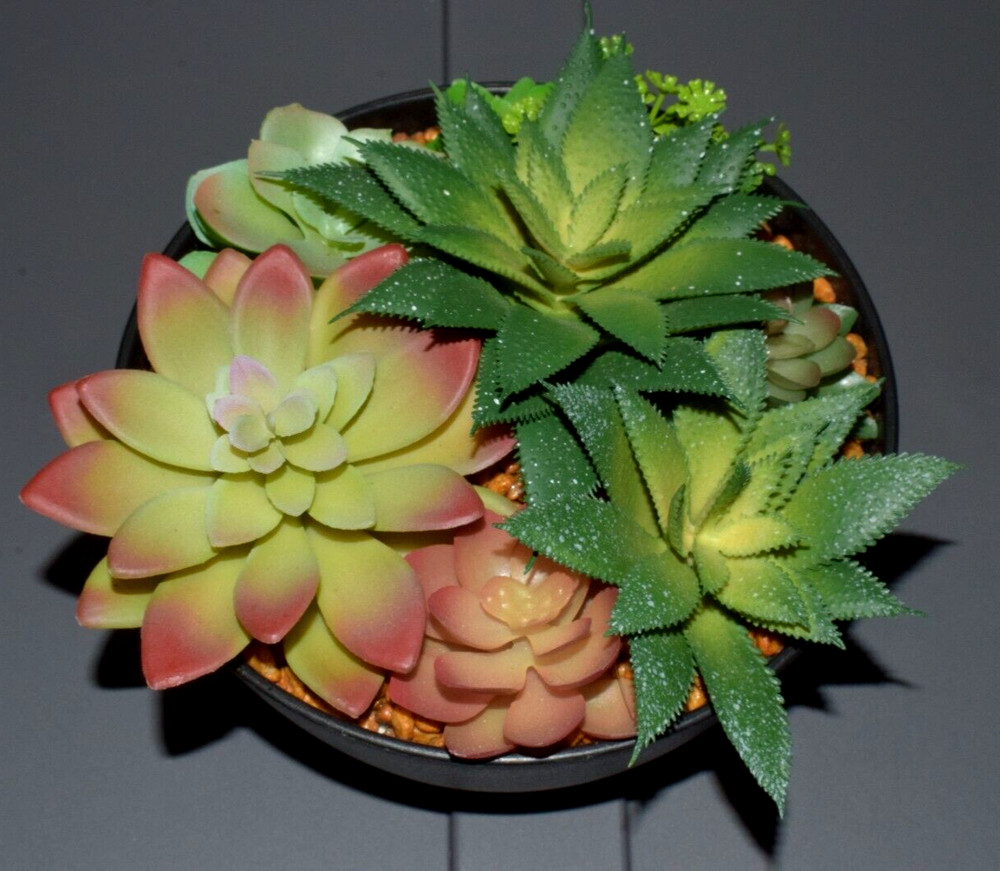 Artificial Succulent Plants in Hard Plastic Black Pot VGC!