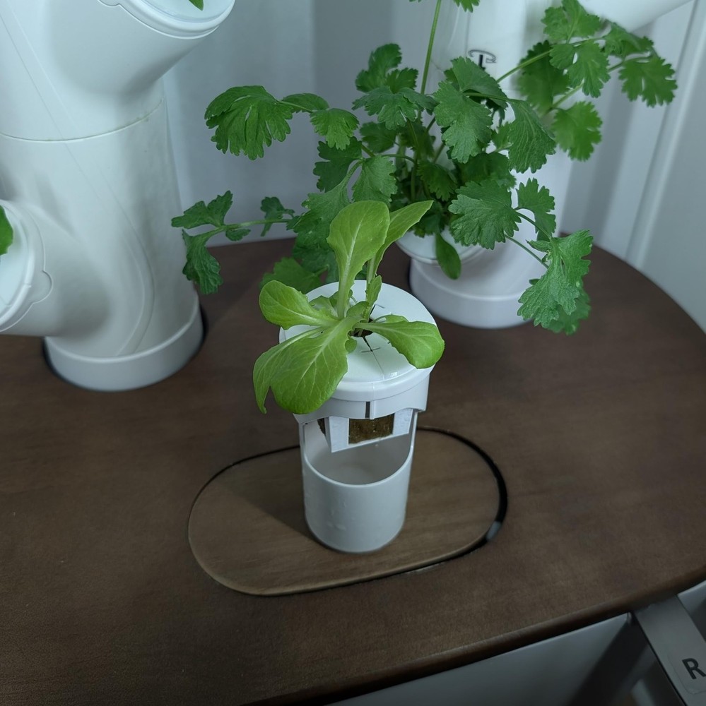 Grow Cubes for Hydroponic System Compatible with Gardyn 10 Cubes