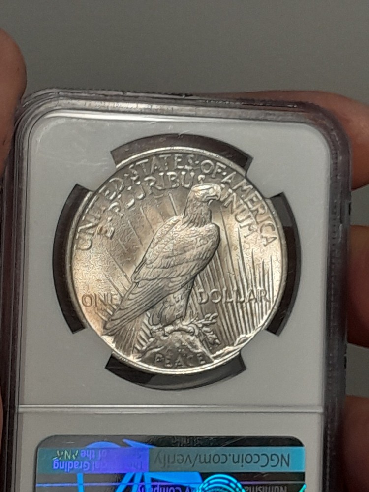 1922- P Peace Silver Dollar MS62 NGC