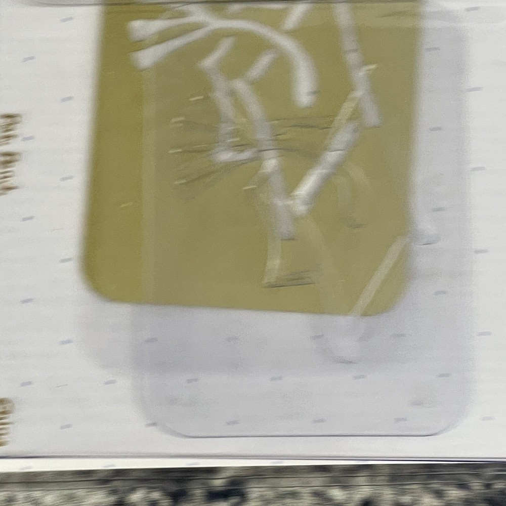 Sizzix Graduation Cap Simple Impressions Embossing Folder 2⅜x3⅜"