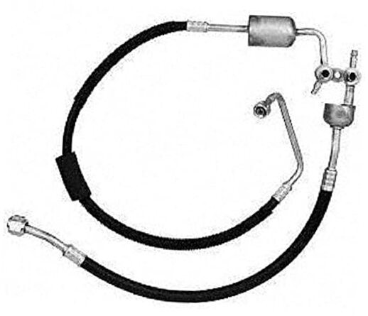 56175 Hose Assembly