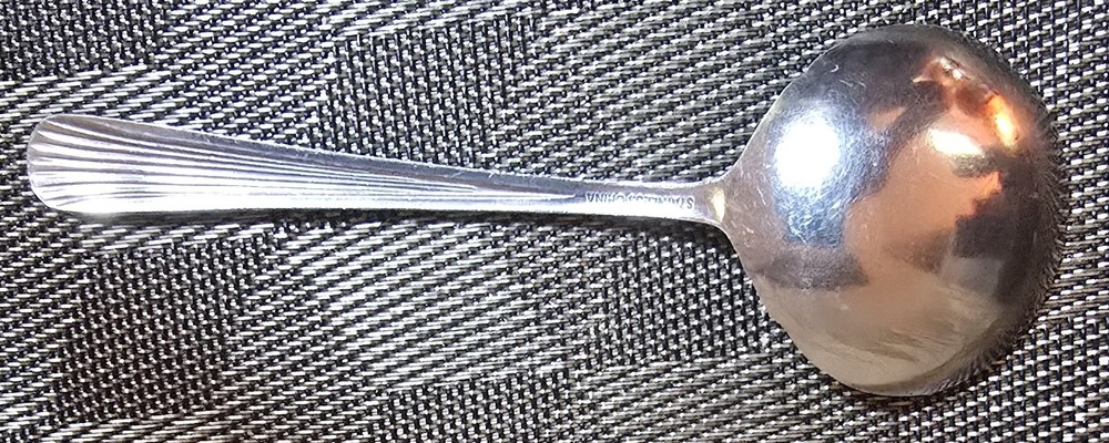 Stainless Steel Silver Serving Spoon 6.75" Long
