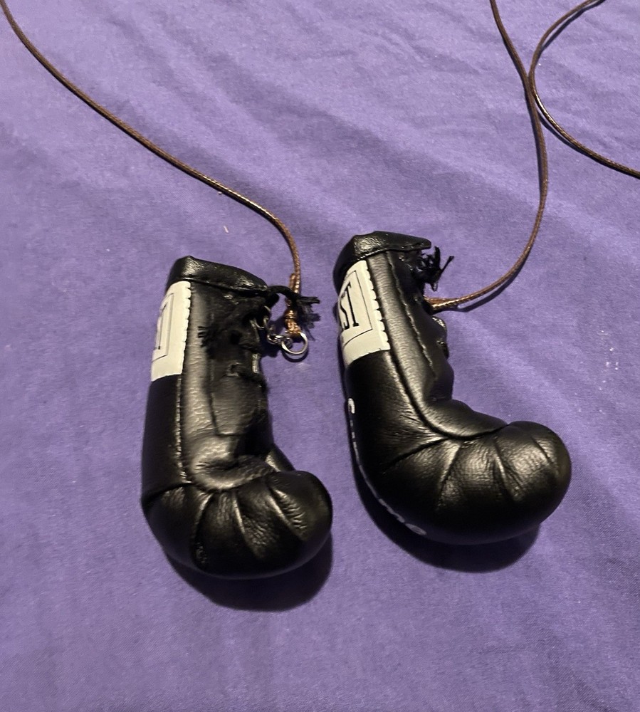 Supreme Boxing Gloves, Car Accessory