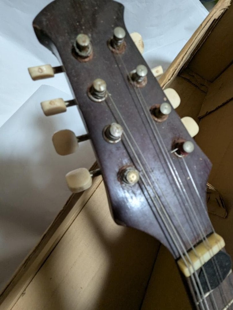 [] ◇ SUZUKI Mandolin Junk Used /248