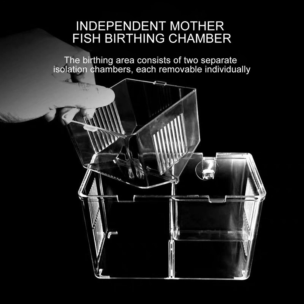 Aquarium Breeder Box Transparent Hatching Container Double-Chamber