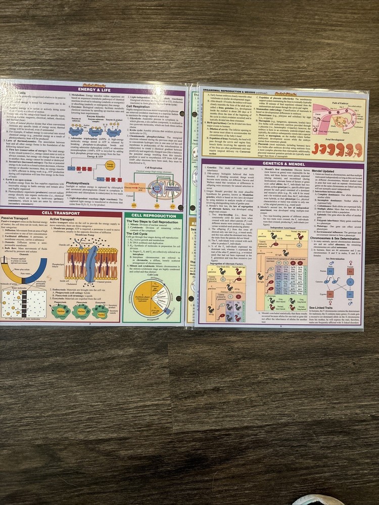 BarCharts 9781423219538 Biology Quickstudy Easel