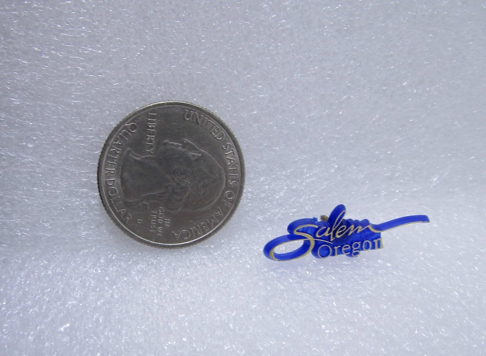 Salem Oregon Plastic Pin