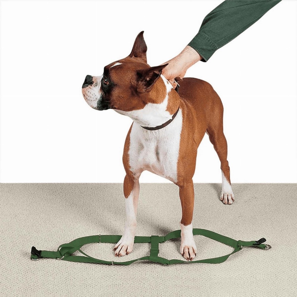 2 Step Pet Harness