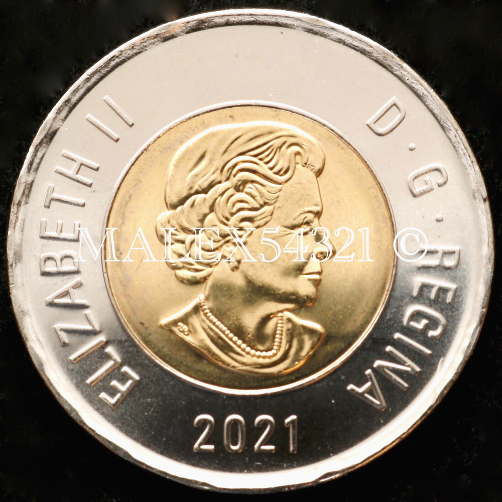 🇨🇦​ CANADA 2021 POLAR BEAR 2 DOLLARS UNCIRCULATED FROM MINT ROLL