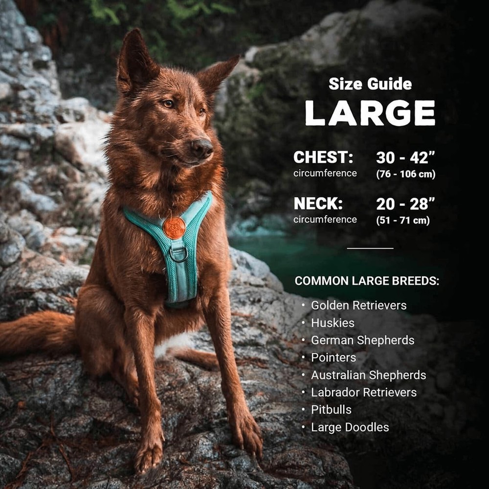 Lightweight Dog Harness with Reflective Straps - Large - Black