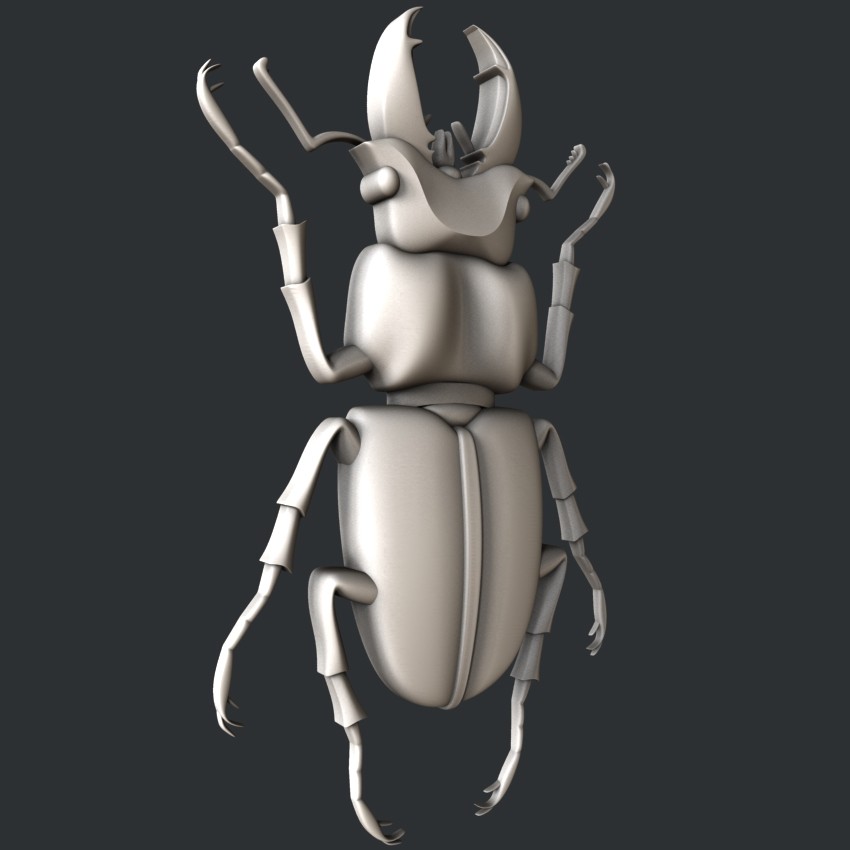 3d STL models for CNC, Artcam, Aspire, relief bug