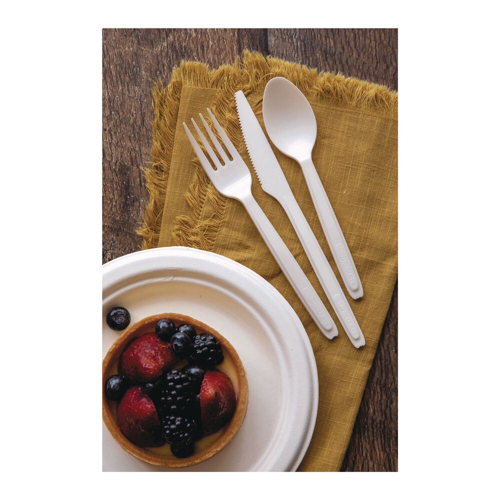 Eco-Products EPCE6SPWHT 6 in. Cutlery Spoon for Cutlerease - White (960/CT) New