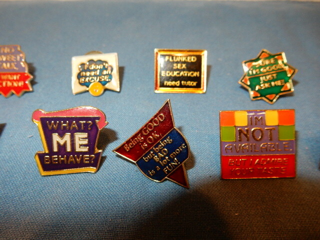 19 Brooch Pins