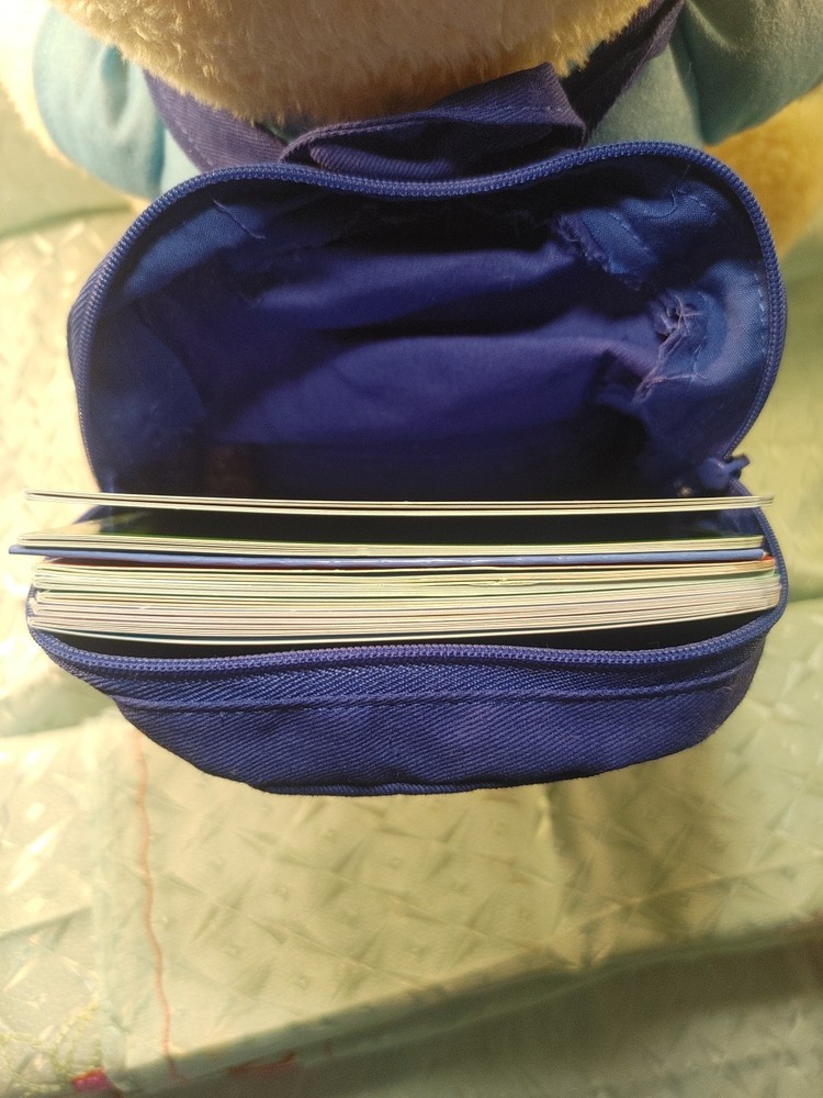 Spark Create Imagine Interactive Learning Plush Bear for Child, With Books