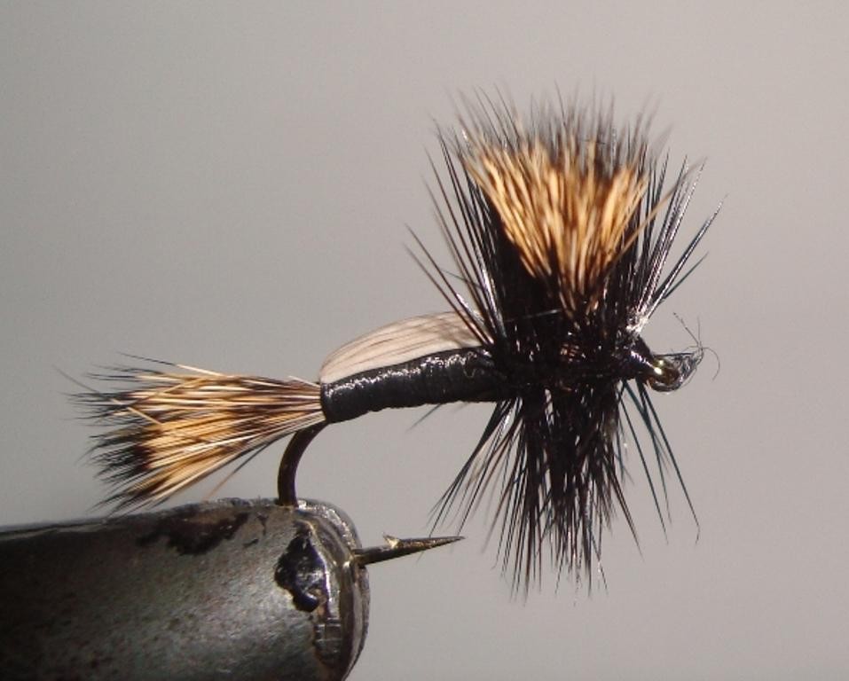 C/A FLIES  HUMPY BLACK #12 (12)