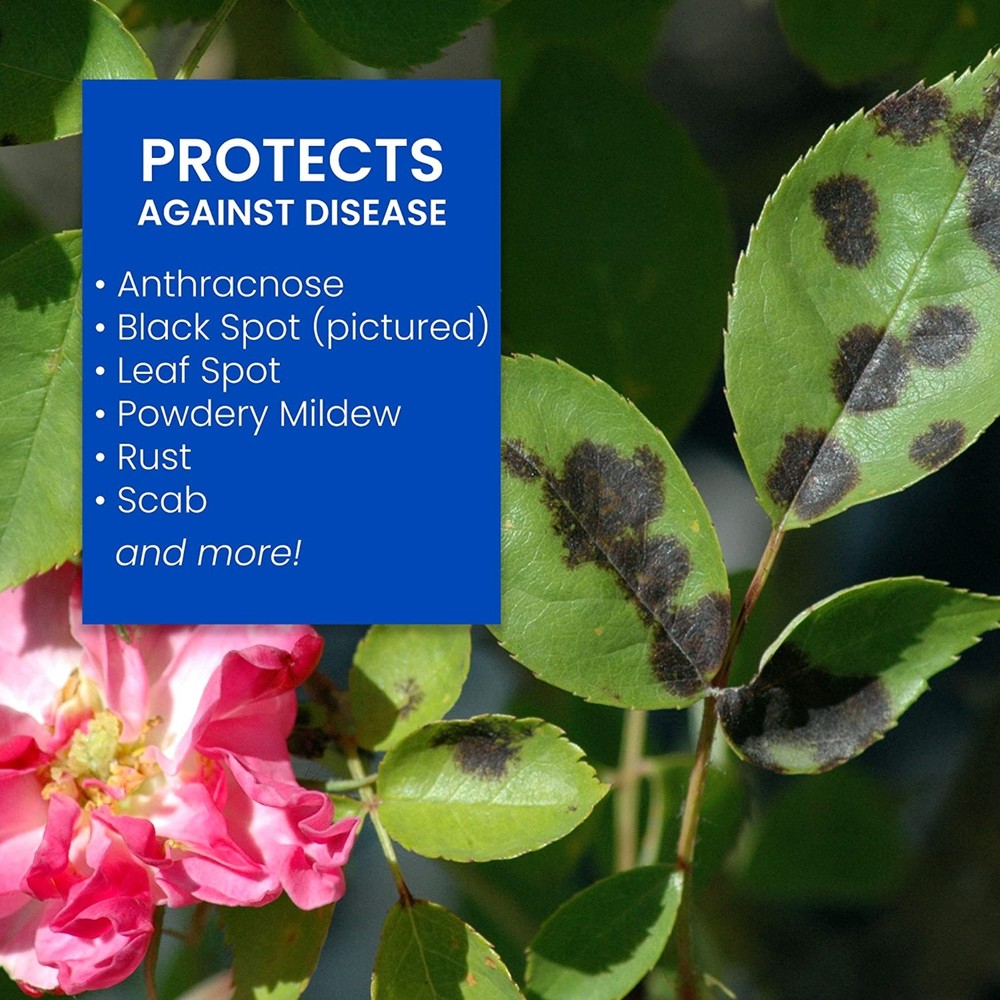 BioAdvanced 3-In-1 Insect, Disease & Mite Control, 24 oz (RTU)