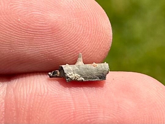 Texas Fossil Fish Jaw Bone with Tooth Cretaceous Age