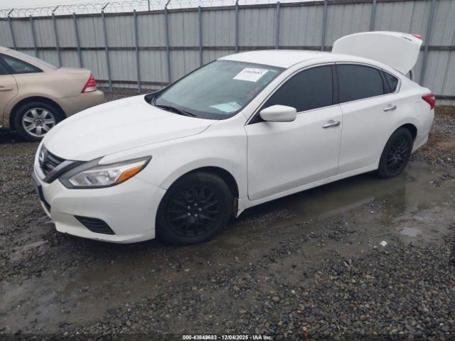 ALTIMA 2017 Glove Box 4971453