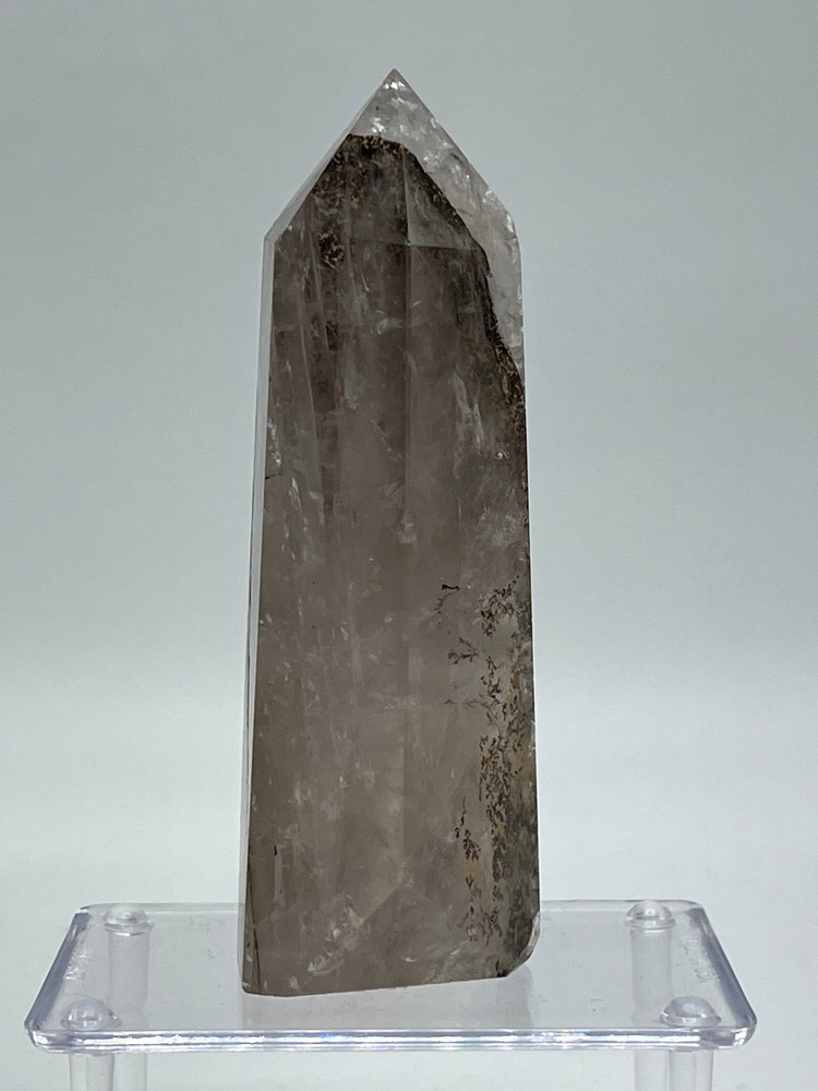 Dendritic Quartz D