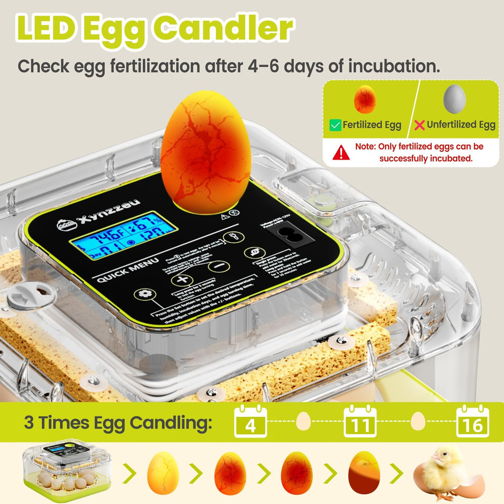 Egg Incubators for Hatching Eggs, 12 Egg Incubator with Automatic Egg Turning an