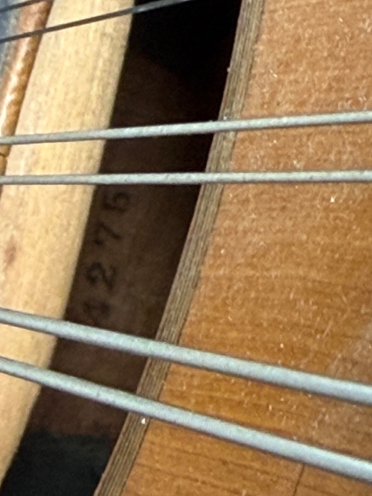 mandolins musical instrument a style