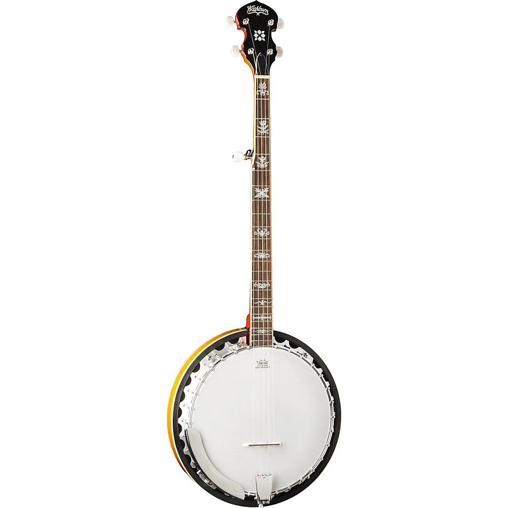 Washburn 5-string Banjo B10-A