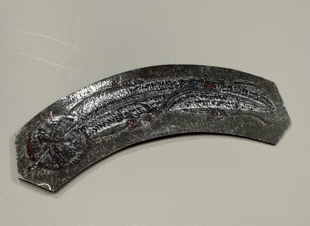 2005 Harley-Davidson HOG Rocker Patch