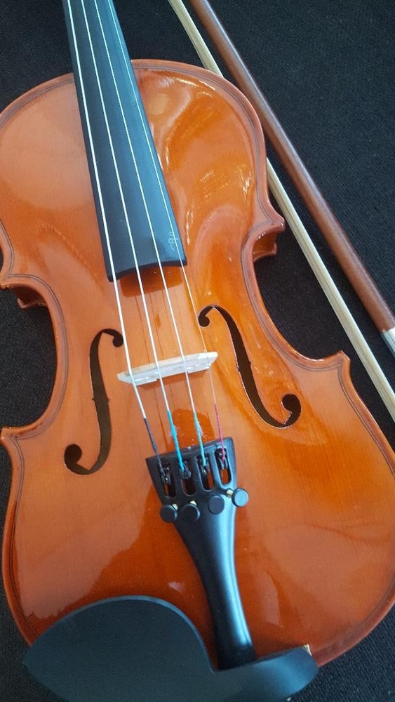 Berkeleywind Beautiful 16" Solid Maple Pro Viola