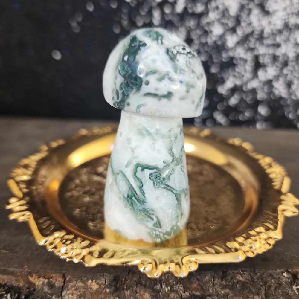 Tree Agate Mushroom