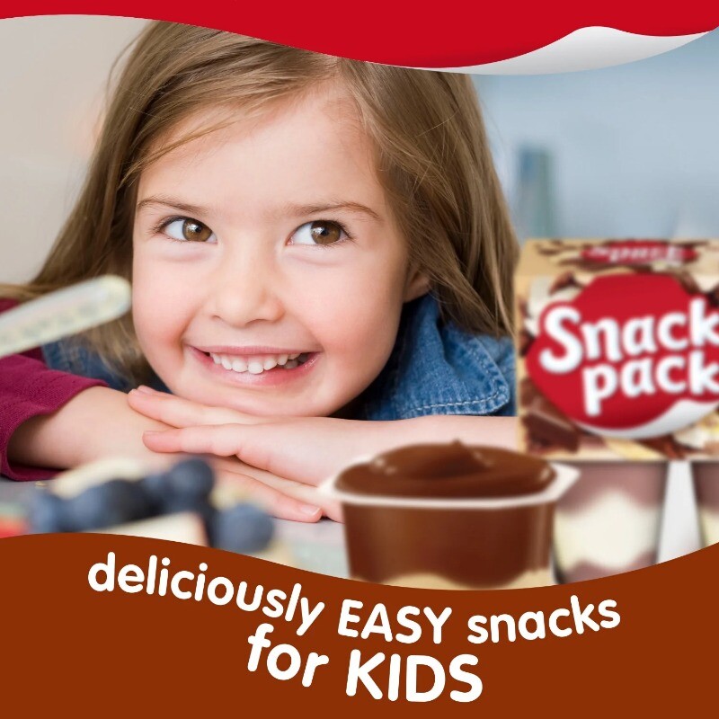 (4 pack) Snack Pack Chocolate Vanilla Flavored Pudding, 6 Count Pudding Cups