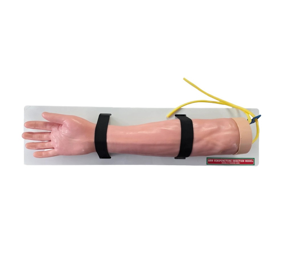 Arm Venipuncture Injection Training Model with Bag