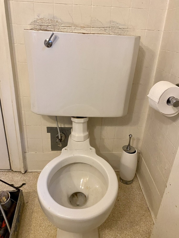 1931 Antique Toilet