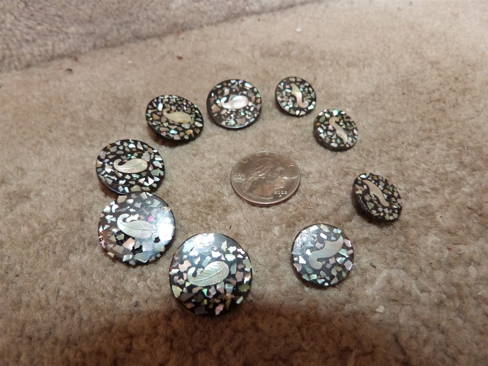 VTG matching composition abalone flake confetti leaf button lot diff sizes #101