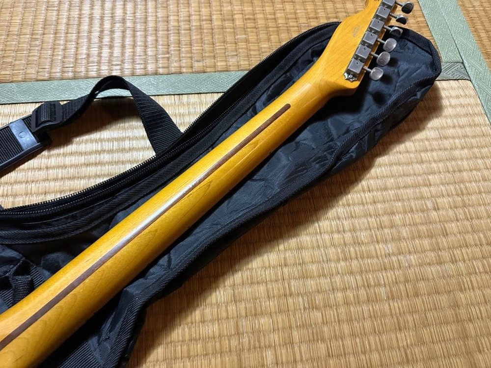 Coolz ZTL-VM Telecaster Type Safe Packing!