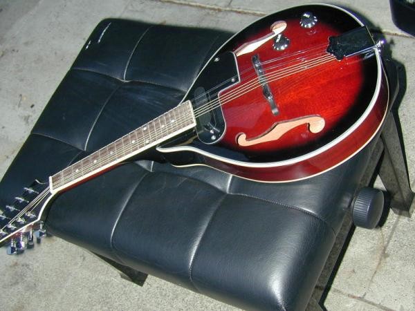 Berkeley Electric Acoustic Mandolin 2xGDAE w/Hard Case
