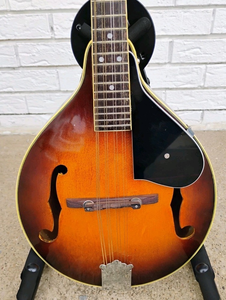 Madeira Mandolin w/case! -LL
