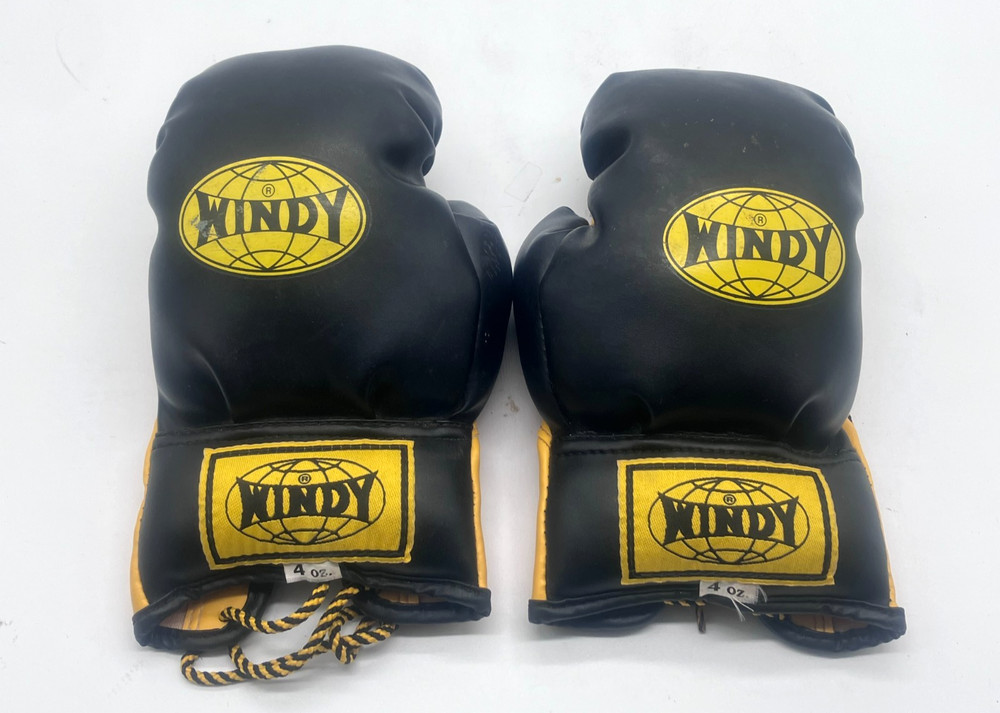 WINDY Boxing Gloves 4 oz Pair