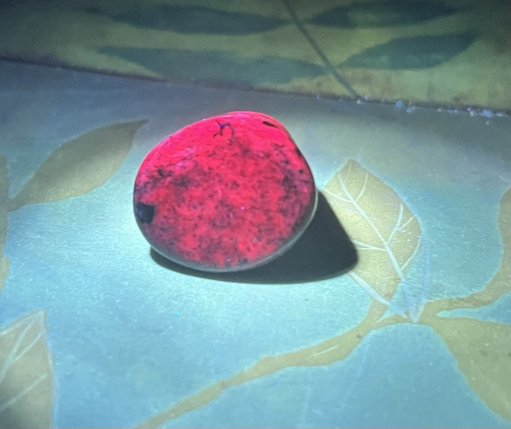 Ruby Genuine Polished Stone from India 16.4g RARE