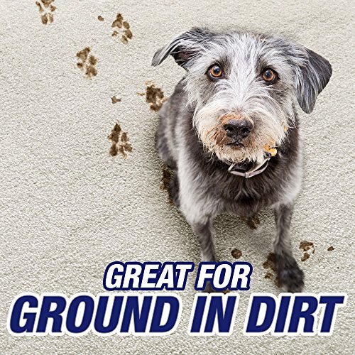 Resolve Carpet Concentrate for Steam Urine Destroyer Carpet Cleaner Solution ...