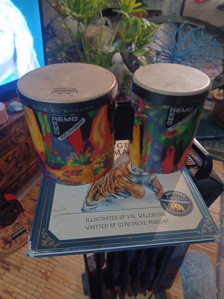 Remo Kid's Percussion Rain Forest Bongos