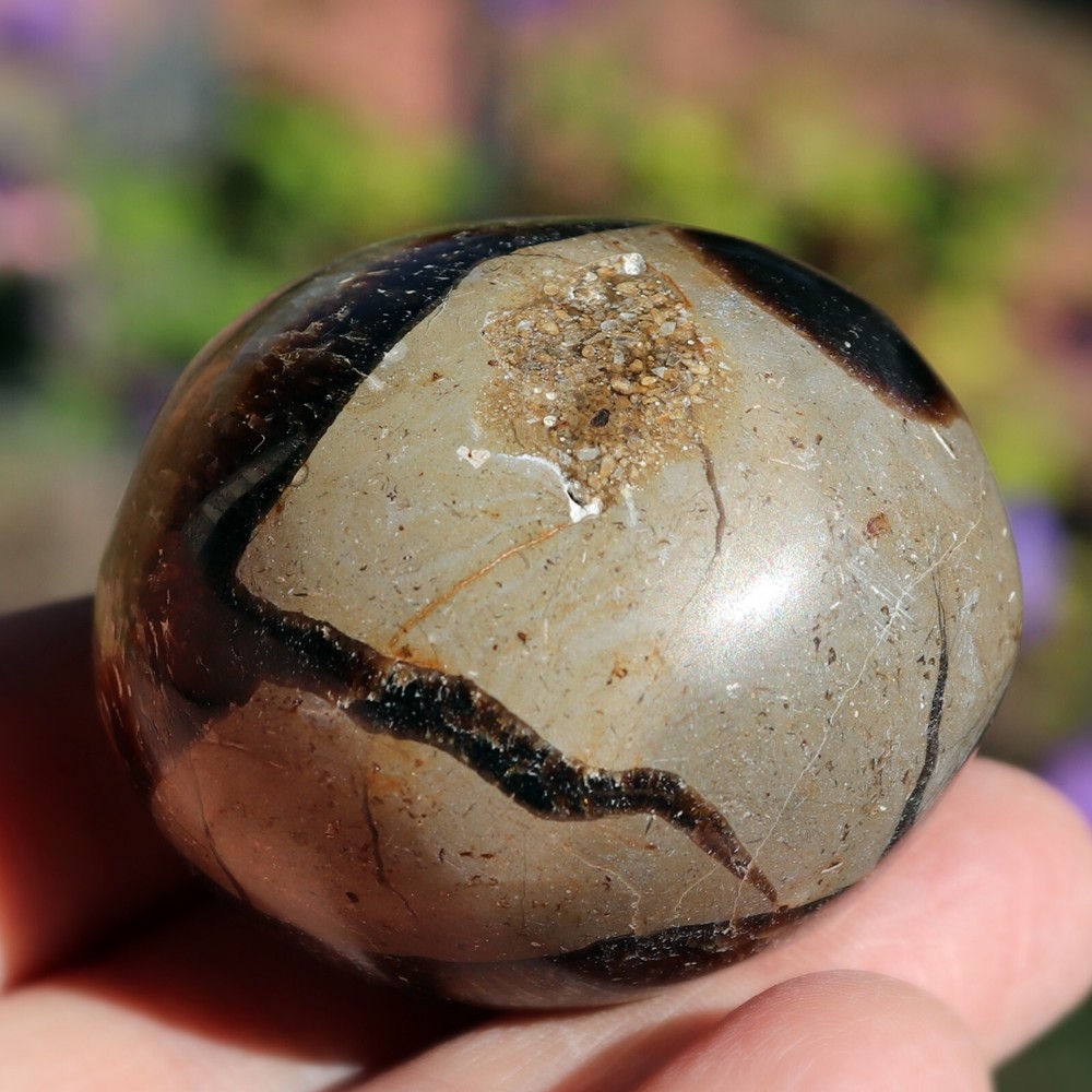 Polished Septarian Nodule (SEP21)