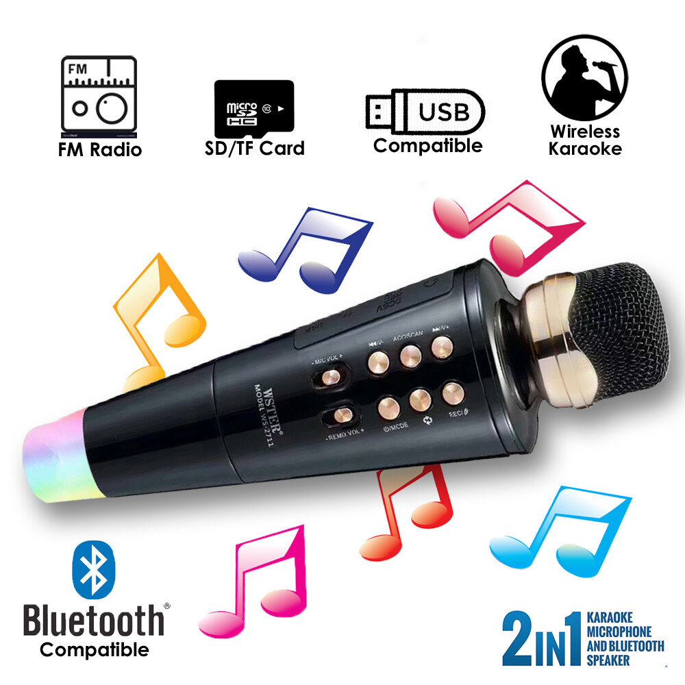 Handheld Vocal Microphone & Karaoke Speaker with LED Lights & Multimedia Support