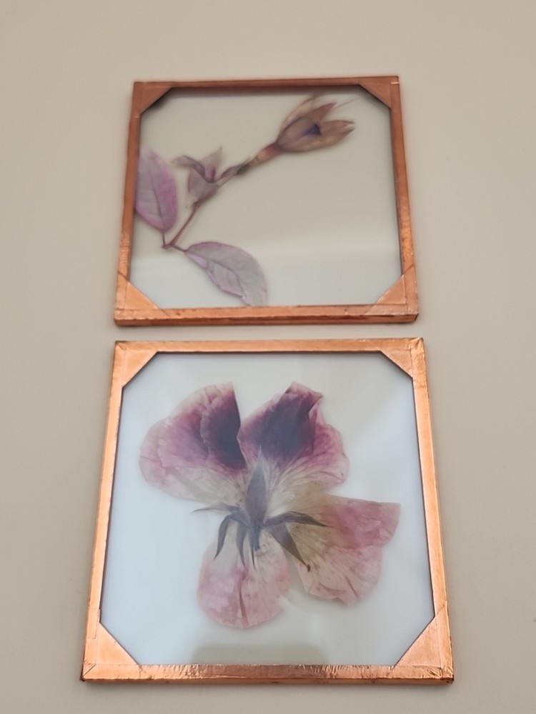 Copper Foiled Frame/Pressed & Dried Flowers Between Glass Coasters