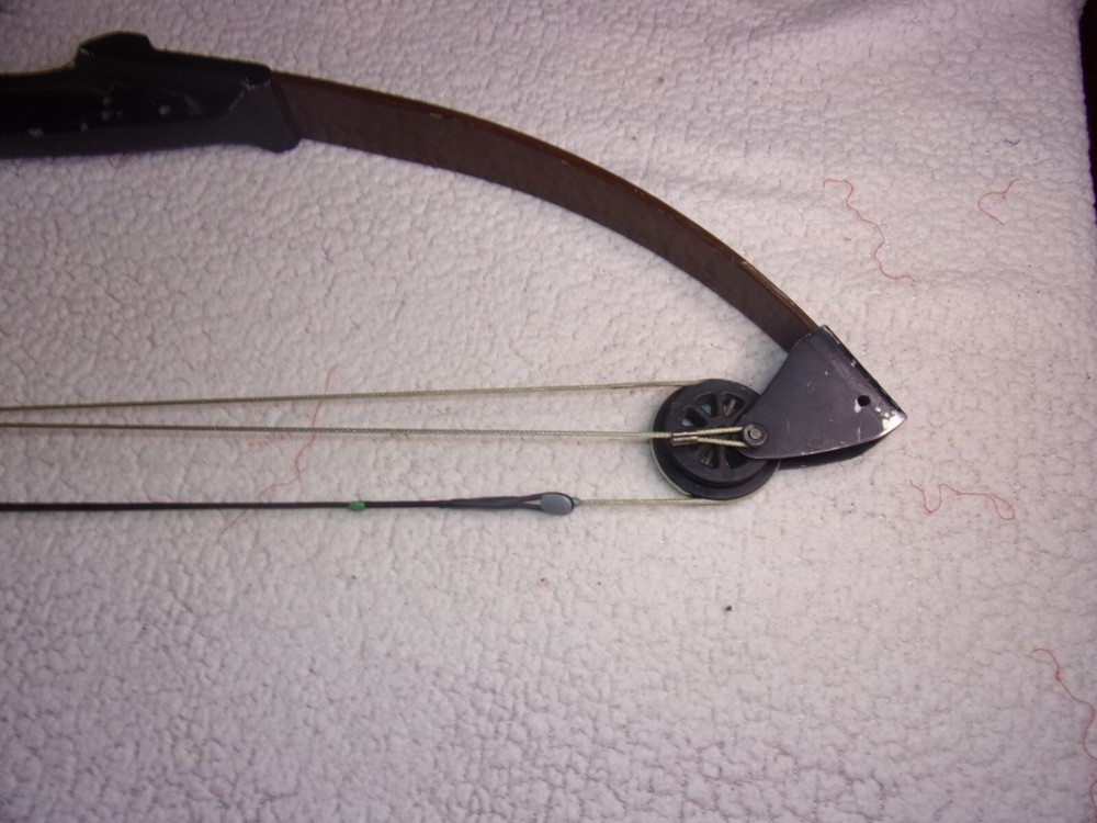 Bear Blacktail Hunter Compound