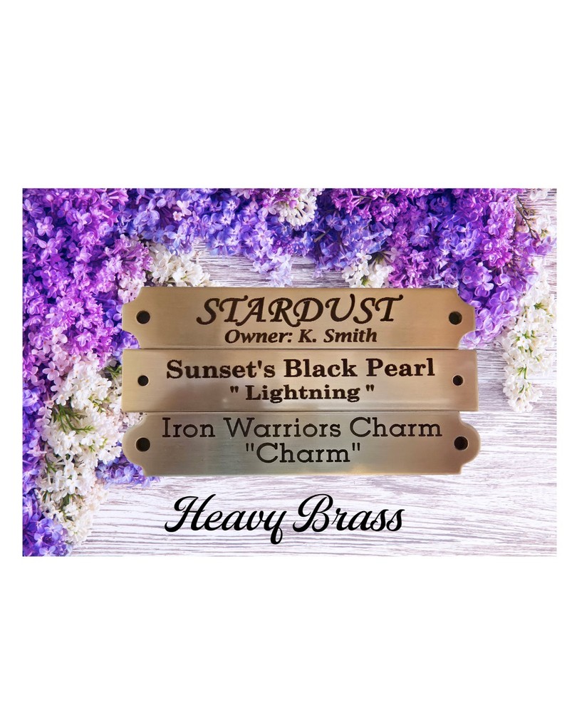 Custom Engraved Heavy Brass Halter Plate